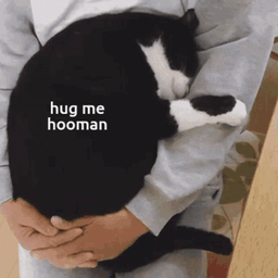 f8f28dbea5f71072d074.gif