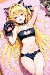 1a963bb70451710ecb49.webp