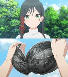66425822c16abc1cafe9.webp