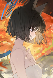 d65c824000e5f5dbe1b3.webp