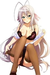 c9b2d511e3c211fe0442.webp