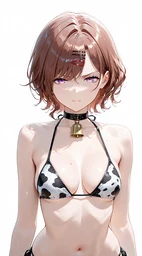 06e9d12239507c56a1cb.webp