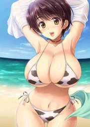 26fc91c0079ece5fd89e.webp