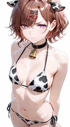 c482d37d63587bce6ed9.webp