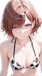 dd087d7a45e1b3e04dd4.webp