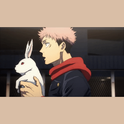 d8d81528deb8b4505cd3.gif