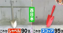 7c3fd44452800eff1169.webp